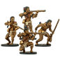 Warrior Musketeers Unit